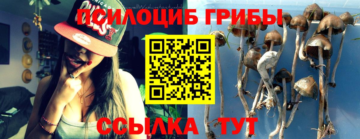 Коломна  Галлюциногенные грибы мухоморы  Вход с VPN 
